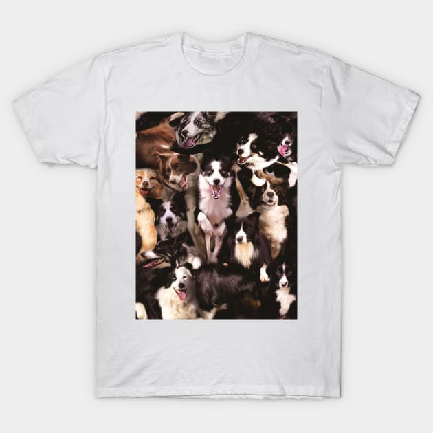 Border Collies T-Shirt by MaxencePierrard